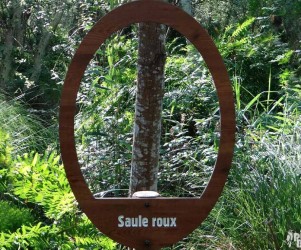 Signalétique touristique - Plaque arboretum - Fenêtre sur arbre - Fabrication PIC BOIS