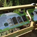 Plaque arboretum – Les arbres