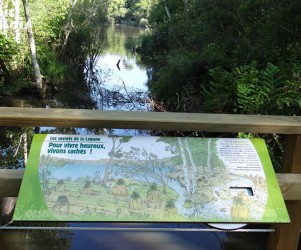 Signalétique touristique - Table de lecture - Illustrations marais - Fabrication PIC BOIS
