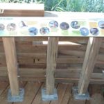 Table de lecture – Oiseaux de la lagune
