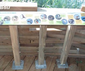 Signalétique touristique - Table de lecture - Oiseaux de la lagune - Fabrication PIC BOIS