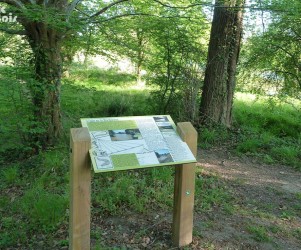 Signalétique touristique - Table de lecture - Descriptif poissons - Fabrication PIC BOIS