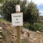 Directionnel sentier – Traversée