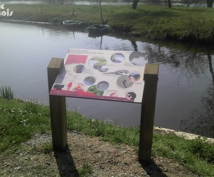 Signalétique touristique - Table de lecture - Espèces du canal - Fabrication PIC BOIS