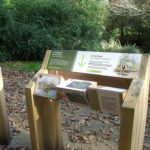Mobilier interactif – Vallée humide