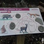 Mobilier interactif – Traces d’animaux