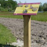 Table de lecture – Empreintes oiseaux