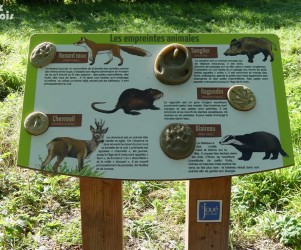 Signalétique touristique - Parcours sensoriel - Empreintes animales - Fabrication PIC BOIS