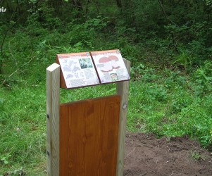 Signalétique touristique - Mobilier interactif - Flore locale - Fabrication PIC BOIS