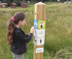 Signalétique touristique - Mobilier interactif - Devinettes faunes - Fabrication PIC BOIS