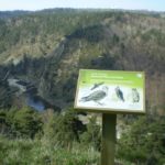 Plaque thématique – Oiseaux des forêts