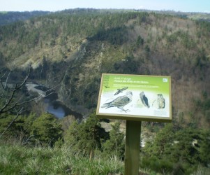 Signalétique touristique - Plaque thématique - Oiseaux des forêts - Fabrication PIC BOIS