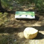 Table de lecture – Les oiseaux d’eau