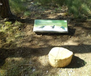 Signalétique touristique - Table de lecture - Les oiseaux d'eau - Fabrication PIC BOIS