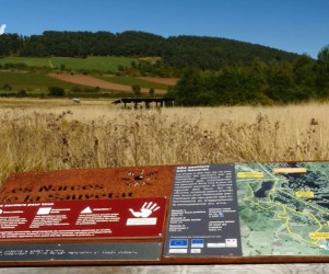 Signalétique touristique - Table de lecture - Borne sonore - Fabrication PIC BOIS