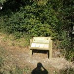 Mobilier interactif – Thématique arbres