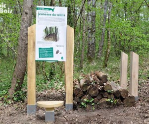 Signalétique touristique - Panneau d'information - Le taillis - Fabrication PIC BOIS