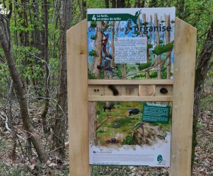 Signalétique touristique - Panneau d'information - Les espèces - Fabrication PIC BOIS