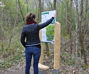 Signalétique touristique - Mobilier interactif - Forêt et enjeux - Fabrication PIC BOIS