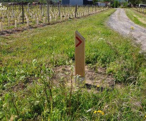 Signalétique touristique - Balisage - Cœur du vignoble - Fabrication PIC BOIS