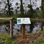 Table de lecture – La grenouille verte