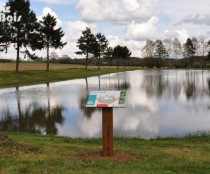 Signalétique touristique - Table de lecture - Didactique mare - Fabrication PIC BOIS