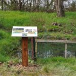 Table de lecture – Insectes de la mare
