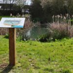 Table de lecture – Mare et ses insectes
