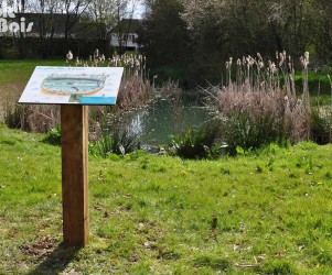 Signalétique touristique - Table de lecture - Mare et ses insectes - Fabrication PIC BOIS
