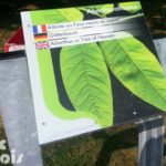 Mobilier interactif – Borne plantes