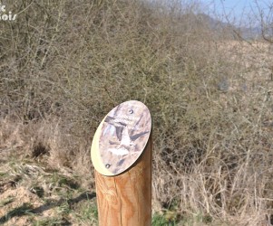 Signalétique touristique - Plaque thématique  - Les oiseaux - Fabrication PIC BOIS