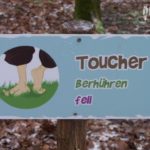 Parcours sensoriel – Parcours Pieds nus