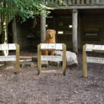 Mobilier interactif – BQR Chien Patou