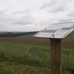 Table de lecture – Les oiseaux du site