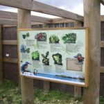 Panneau d’information – Flore locale