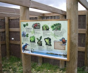 Signalétique touristique - Panneau d'information - Flore locale - Fabrication PIC BOIS