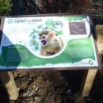 Table de lecture – Découverte animaux