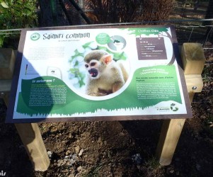 Signalétique touristique - Table de lecture - Découverte animaux - Fabrication PIC BOIS