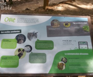 Signalétique touristique - Table de lecture - L'ouïe des animaux - Fabrication PIC BOIS