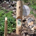 Totem – Observation des plantes