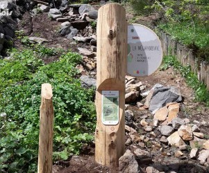 Signalétique touristique - Totem - Observation des plantes - Fabrication PIC BOIS