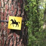 Balisage – Jalon sur arbre