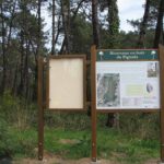 Panneau d’affichage – Accueil forêt