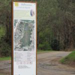 Totem – Plan de forêt