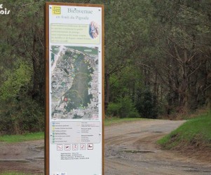 Signalétique touristique - Totem - Plan de forêt - Fabrication PIC BOIS