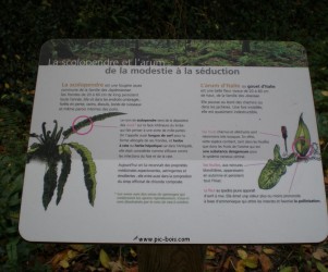 Signalétique touristique - Plaque arboretum - Flore locale - Fabrication PIC BOIS