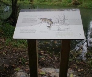 Signalétique touristique - Table de lecture - Pédagogique Truite - Fabrication PIC BOIS