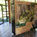 Mobilier d’exposition – Exposition mobile