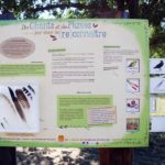 Mobilier interactif – Chant des oiseaux