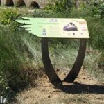 Table de lecture – Sentier oiseaux